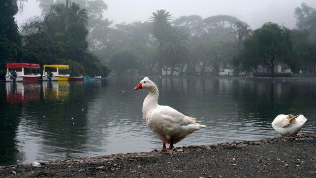 Pronostican para Rosario un miércoles con más nubes