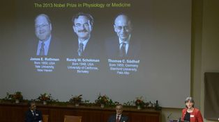 Nobel de medicina para dos estadounidenses y un profesor alemán