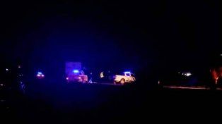Paraná: un vehículo chocó tres ciervos axis que cruzaron la ruta