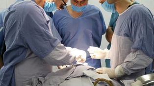 Investigan si un médico grabó sus iniciales en el hígado de un paciente