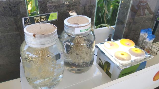 Empresas de insumos apuestan cada vez más por tecnologías sustentables