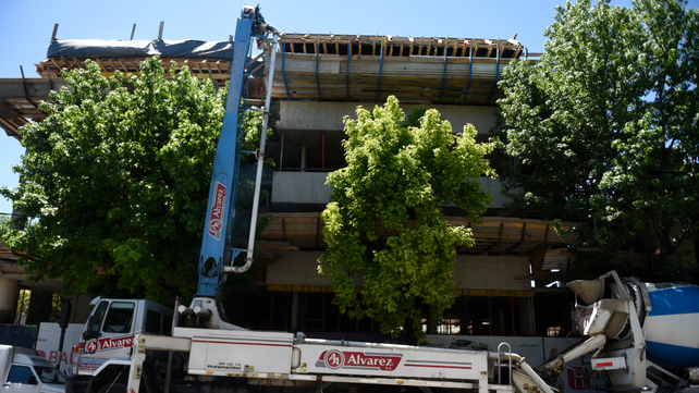 Se multiplican los reclamos por constructoras que derriban árboles en el marco de los desarrollos inmobiliarios.