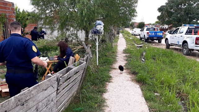 Paraná: encontraron plantas de marihuana de cuatro metros&nbsp;