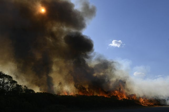 El sol se ve a través de una columna de humo provocada por incendios forestales durante la profunda sequía que afecta a la provincia de Santa Fe. La imagen es de un campo de Barrancas.  