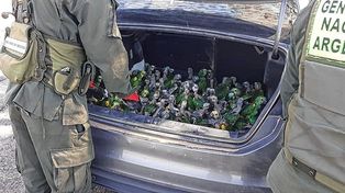Así llevaban a los loros rescatados por Gendarmería.&nbsp;