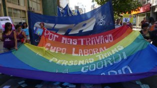 Los proyectos que se debaten en el Concejo buscan la inserción no solo en el ámbito del Estado, sino también de la apertura del ámbito privado a personas travestis, transexuales y transgénero.