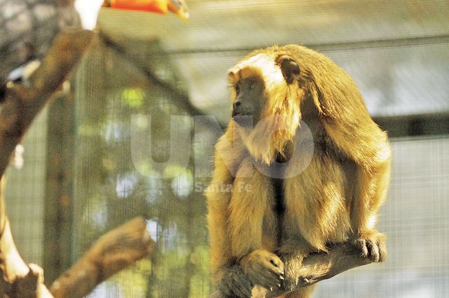 Jun M. Baialardo/Diario UNO