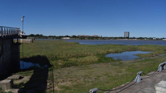Se consolidó un nuevo embalsado en la laguna Setúbal luego de varias semanas de crecida del río Paraná. Foto: José Busiemi (UNO Santa Fe).