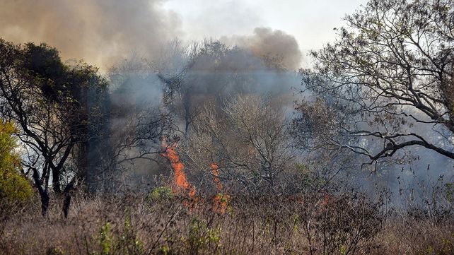 Incendios en Victoria: hay uno activo y dos controlados&nbsp;