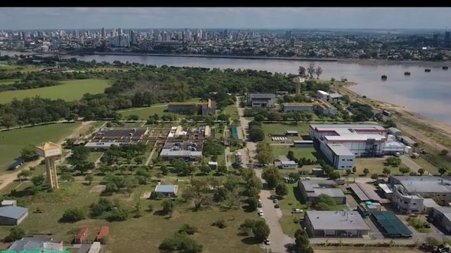 El Parque Tecnológico Litoral Centro (PTLC) aparece como uno de los principales motores del perfil exportador santafesino.