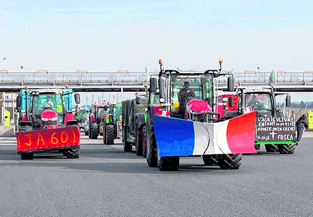 Firmes. Importaciones y baja rentabilidad