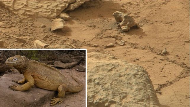 Polémica por fotos de la Nasa en las que, aseguran, aparece una iguana fosilizada en Marte