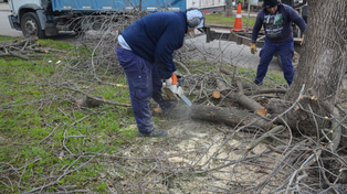 Por las bajas temperaturas, reparten leña en Venado Tuerto a familias de escasos recursos