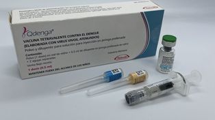 La vacuna contra el dengue desarrollada por Takeda tiene el aval de la Sociedad Argentina de Infectología y la Comisión Nacional de Inmunizaciones.&nbsp;
