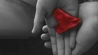 Se celebra hoy el “Día Nacional de la Donación de Órganos”