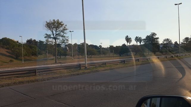 Paraná: los controles lograron reducir la circulación