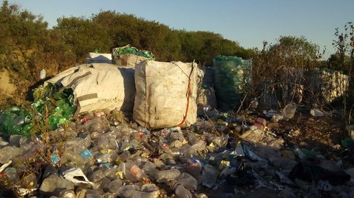 Rincón: cuál es el destino de la recolección diferenciada