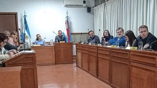 El Concejo Deliberante de Crespo recibió el reclamo el miércoles. 