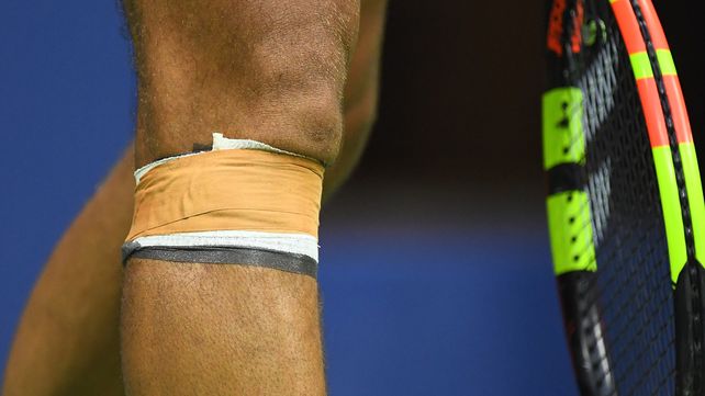 La rodilla.&nbsp;