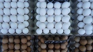 Los comercios exclusivos de huevos proliferaron en Rosario.