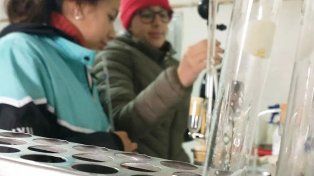 Desconocidos ingresaron a la Escuela Alberdi, en Oro Verde, y se llevaron valiosos equipos de laboratorio.
