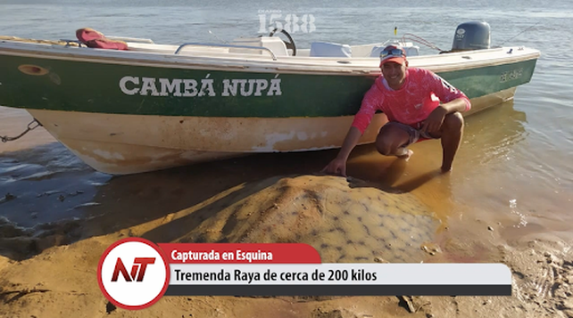 Pescadores sacaron una raya gigante del Paraná en Corrientes