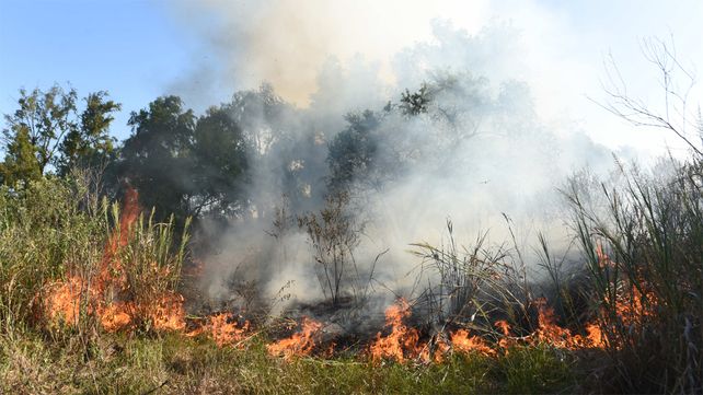 Voraz. Las llamas que se propagan a muy pocos metros de la cinta asf&aacute;ltica est&aacute;n causando da&ntilde;os en todo el ecosistema y generan un grave peligro vial.
