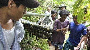 Un hombre y su hijo estuvieron 40 años aislados en la selva de Vietnam