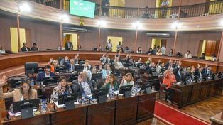 La votación en general de la denominada Ley de Leyes fue por la unanimidad de los diputados. Para el endeudamiento por USD 450 millones, hubo disidencias.