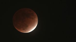 Así se vio el último eclipse lunar parcial del año