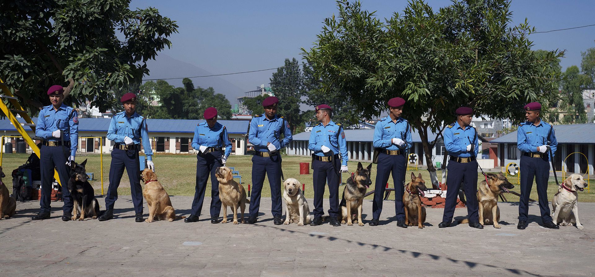 Katmandú, Nepal. Agentes de policía posan con perros en el día de adoración de perros, una parte de Tihar, un festival de cinco días que es similar al Diwali pero tiene una serie de diferencias. Tihar es el segundo festival importante para los hindúes de Nepal y este año se lleva a cabo del 23 al 27 de octubre. Fotografía: Narendra Shrestha/EPA