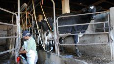 Los tambos de Santa Fe enfrentan una severa crisis. Los tambos de Santa Fe enfrentan una severa crisis.