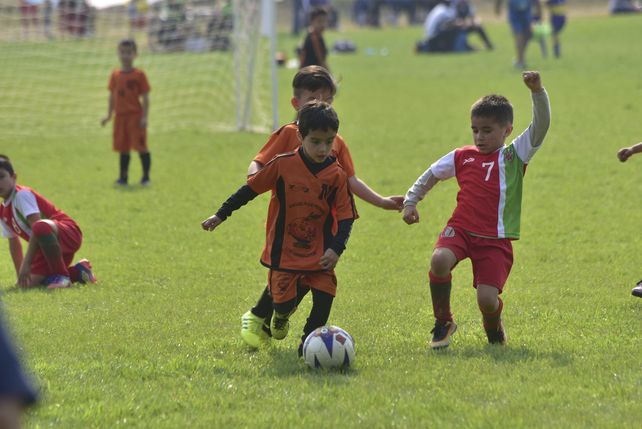 Torneo Naranjitos a todo color