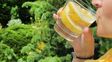 Mitos y verdades sobre los beneficios de incluir el agua con limón en la dieta