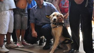 Echan a un jefe policial por prohibir perros y gatos