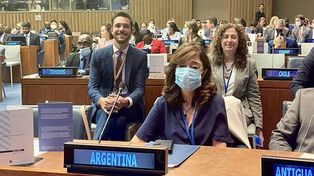 Argentina vuelve a integrar el Comité de Derechos del Niño en la ONU luego de 17 años