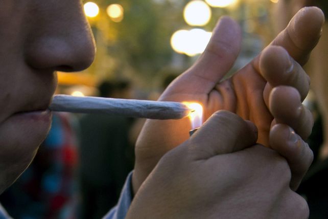 Uruguay se apresta a legalizar la marihuana y venderla a un dólar