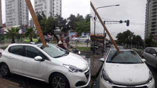 Impactante: la viga de una obra en construcción atravesó un auto en pleno centro