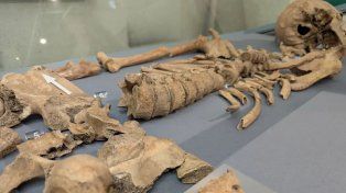 Primera evidencia arqueológica de un combate entre un gladiador y un león