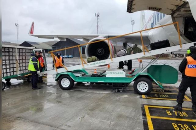 Las fuerzas de seguridad podrán brindar servicios aeroportuarios y de rampa