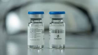 La Anmat aprobó los ensayos clínicos con suero de caballos