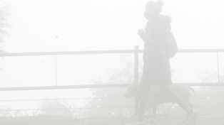 Densa niebla, alta humedad y una máxima que llegaría a los 26 grados, los datos a tener en cuenta al salir de casa.&nbsp;
