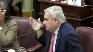 Reforma previsional. Pablo Farías (Unidos) reivindicó la legitimidad de la votación.
