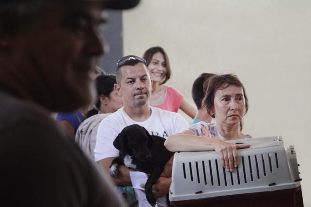 Tenencia responsable de mascotas: jornada especial de castración