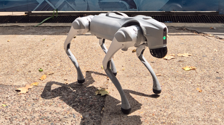El nuevo integrante de Edilizia permite escanear todas las superficies y generar modelos 3D del espacio relevado.