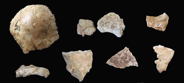 China: encuentran f&oacute;sil de calavera de 100 mil a&ntilde;os