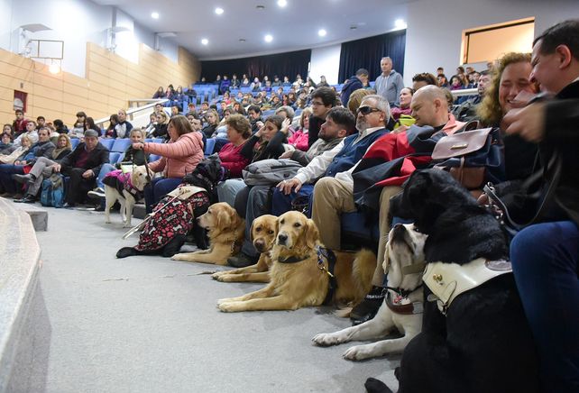 Perros guía para ciegos, una herramienta que cobra cada vez más valor