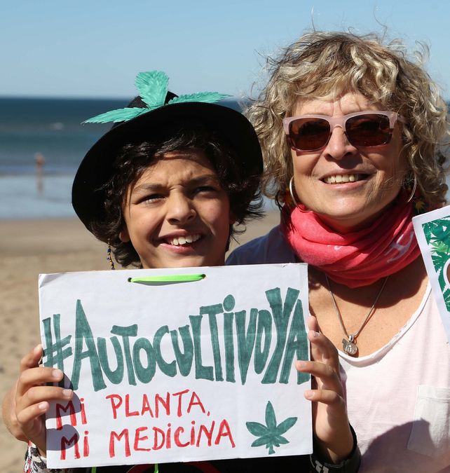 Otorgan los primeros 41 permisos de autocultivo de cannabis