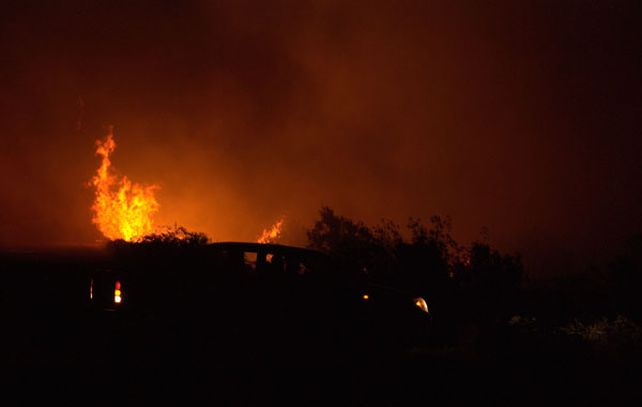 El fuego fue controlado definitivamente en las primeras horas de hoy en esa región rionegrina. (Foto: NA)