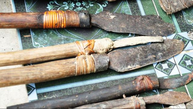 Un hombre de 83 años y su hijo de 42, viven en la selva realmente como Tarzán